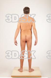 Body texture of Wendell 0020